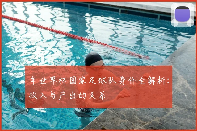 年世界杯国家足球队身价全解析：投入与产出的关系