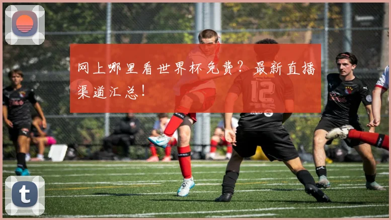 网上哪里看世界杯免费？最新直播渠道汇总！