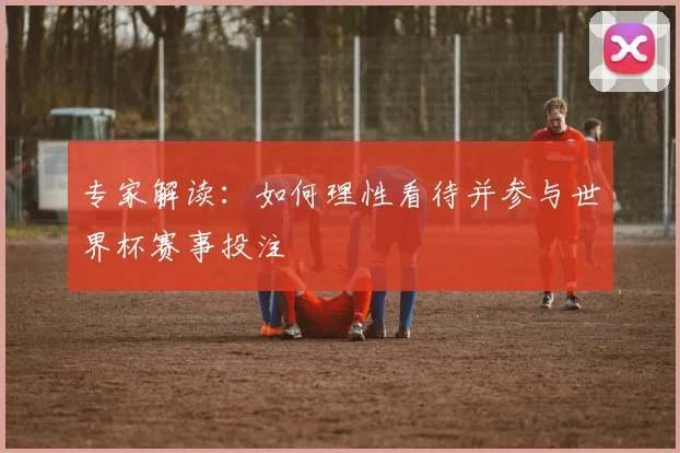 专家解读：如何理性看待并参与世界杯赛事投注