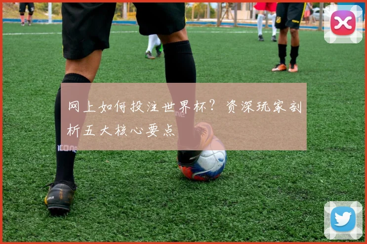 网上如何投注世界杯？资深玩家剖析五大核心要点