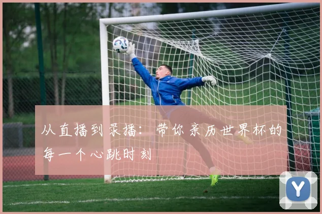 从直播到录播：带你亲历世界杯的每一个心跳时刻
