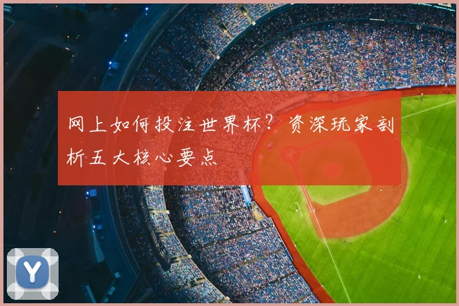 网上如何投注世界杯？资深玩家剖析五大核心要点