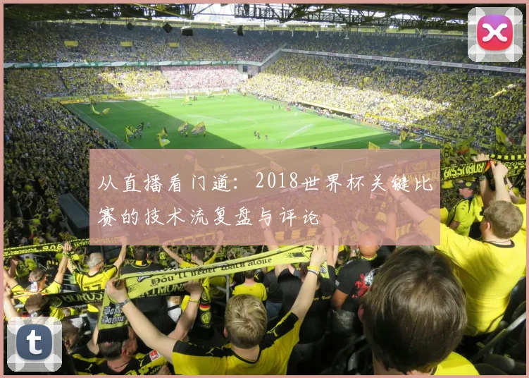 从直播看门道：2018世界杯关键比赛的技术流复盘与评论