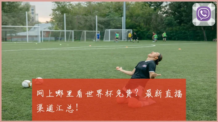 网上哪里看世界杯免费？最新直播渠道汇总！