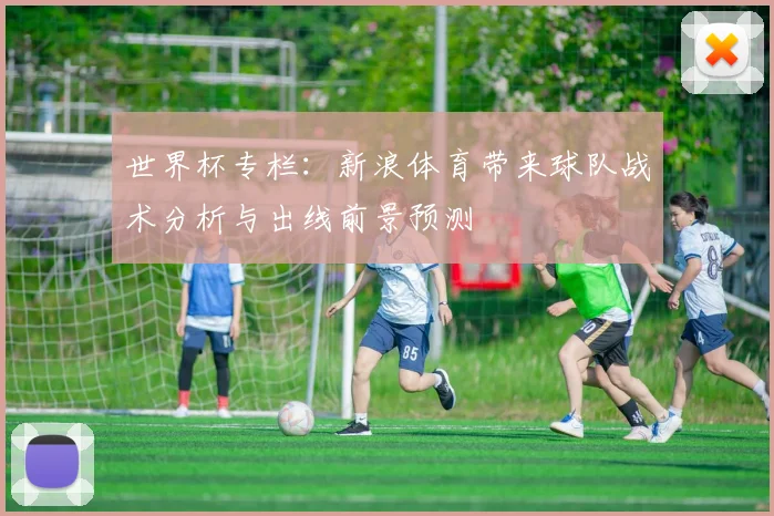 世界杯专栏：新浪体育带来球队战术分析与出线前景预测